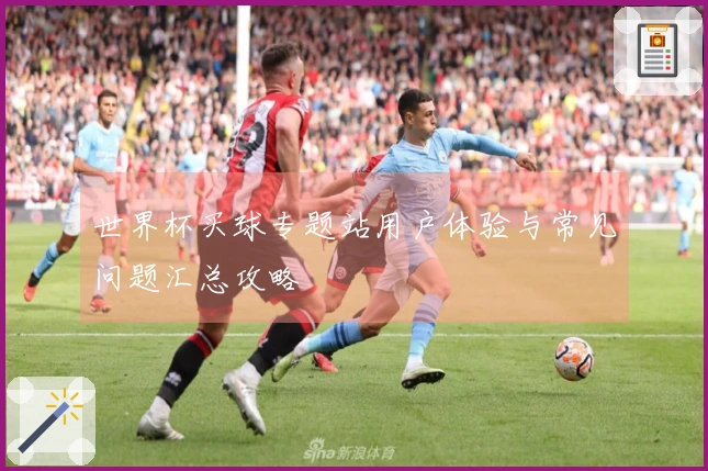 世界杯买球专题站用户体验与常见问题汇总攻略