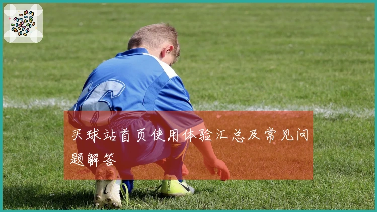 买球站首页使用体验汇总及常见问题解答