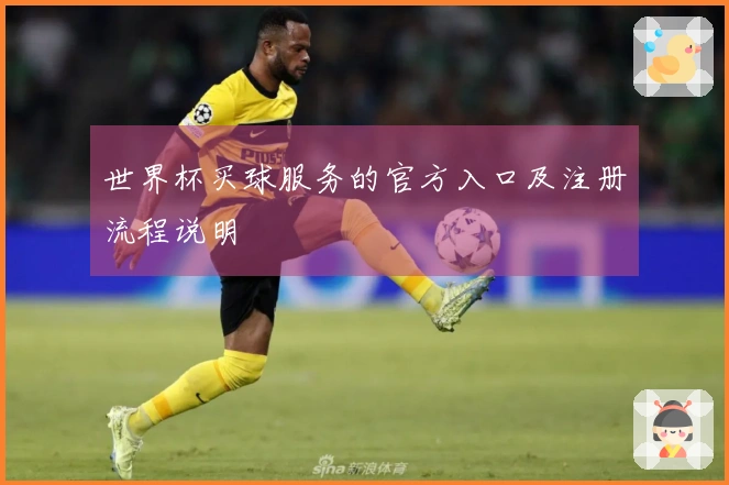 世界杯买球服务的官方入口及注册流程说明