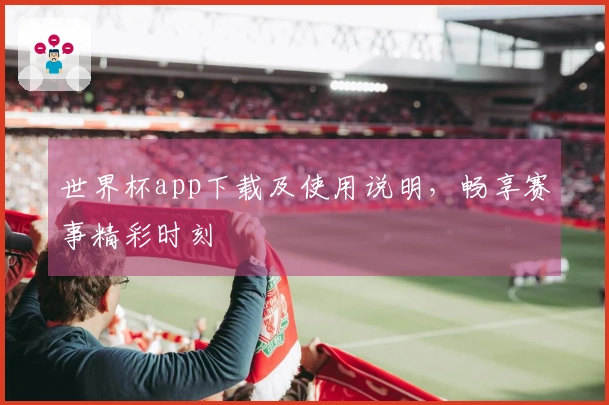 世界杯app下载及使用说明，畅享赛事精彩时刻