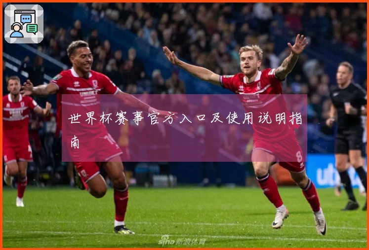 世界杯赛事官方入口及使用说明指南