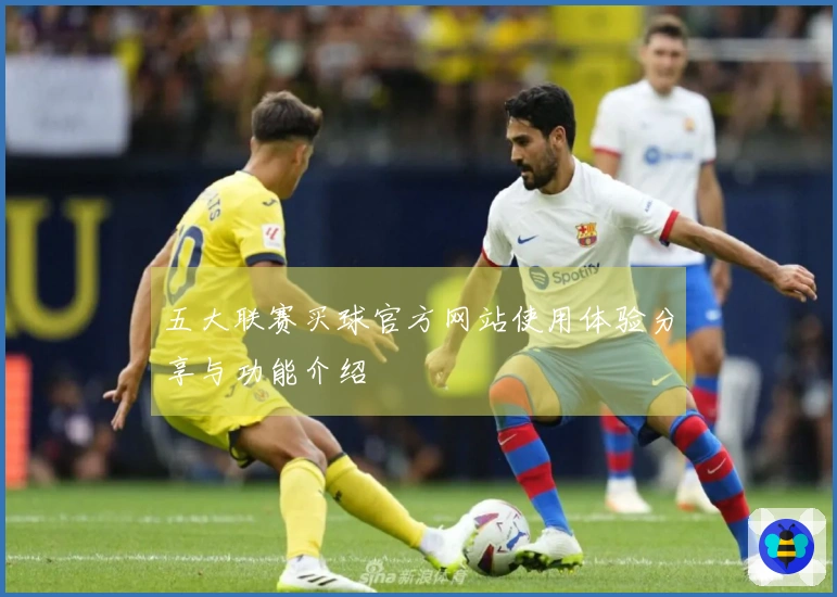 五大联赛买球官方网站使用体验分享与功能介绍
